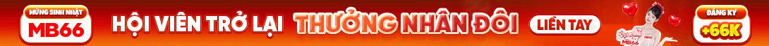 Top Banner mb66
